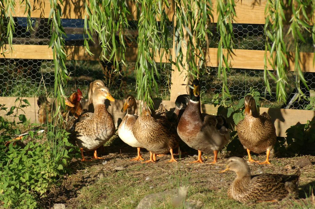 La Chevrerie Bed & Breakfast Vaire Room photo
